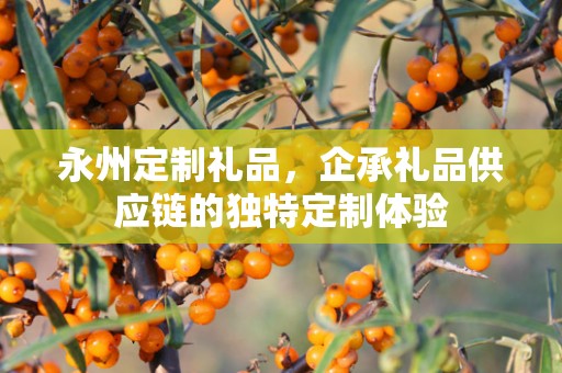 永州定制礼品，企承礼品供应链的独特定制体验